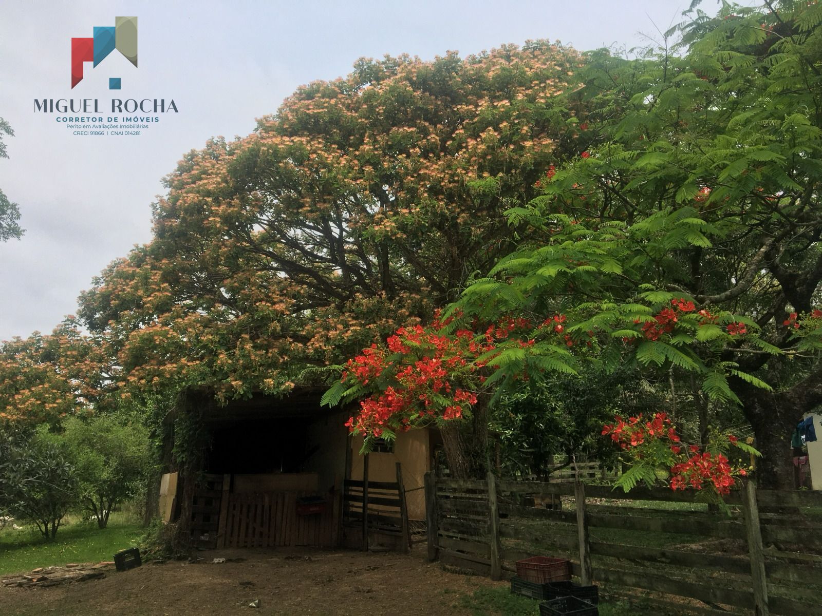 Fazenda à venda com 2 quartos - Foto 4