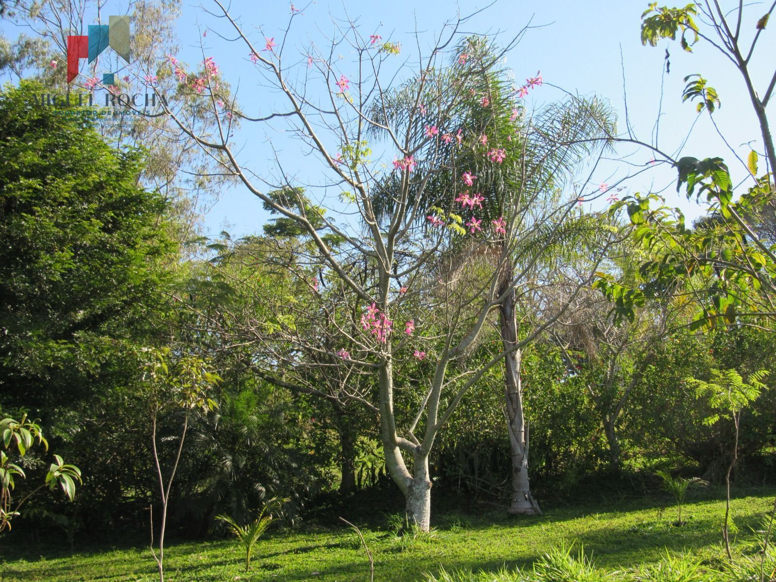 Fazenda à venda com 2 quartos - Foto 11