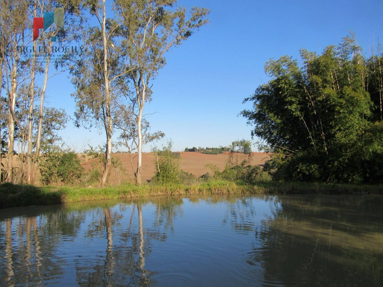Fazenda à venda com 2 quartos - Foto 16