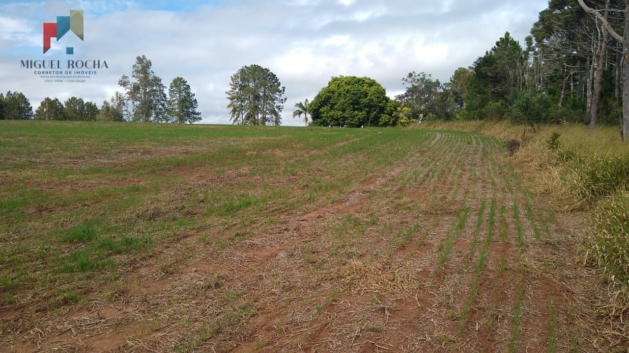 Fazenda à venda com 2 quartos, 1113200m² - Foto 2