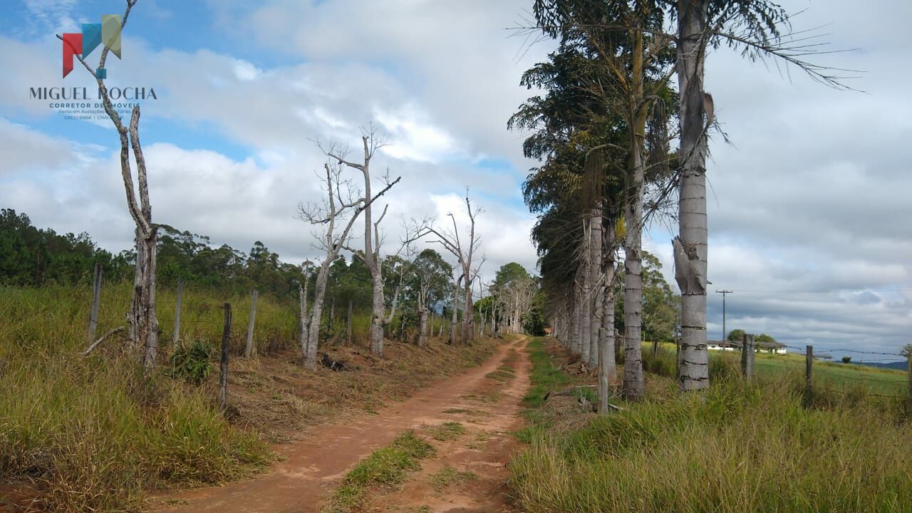 Fazenda à venda com 2 quartos, 1113200m² - Foto 5