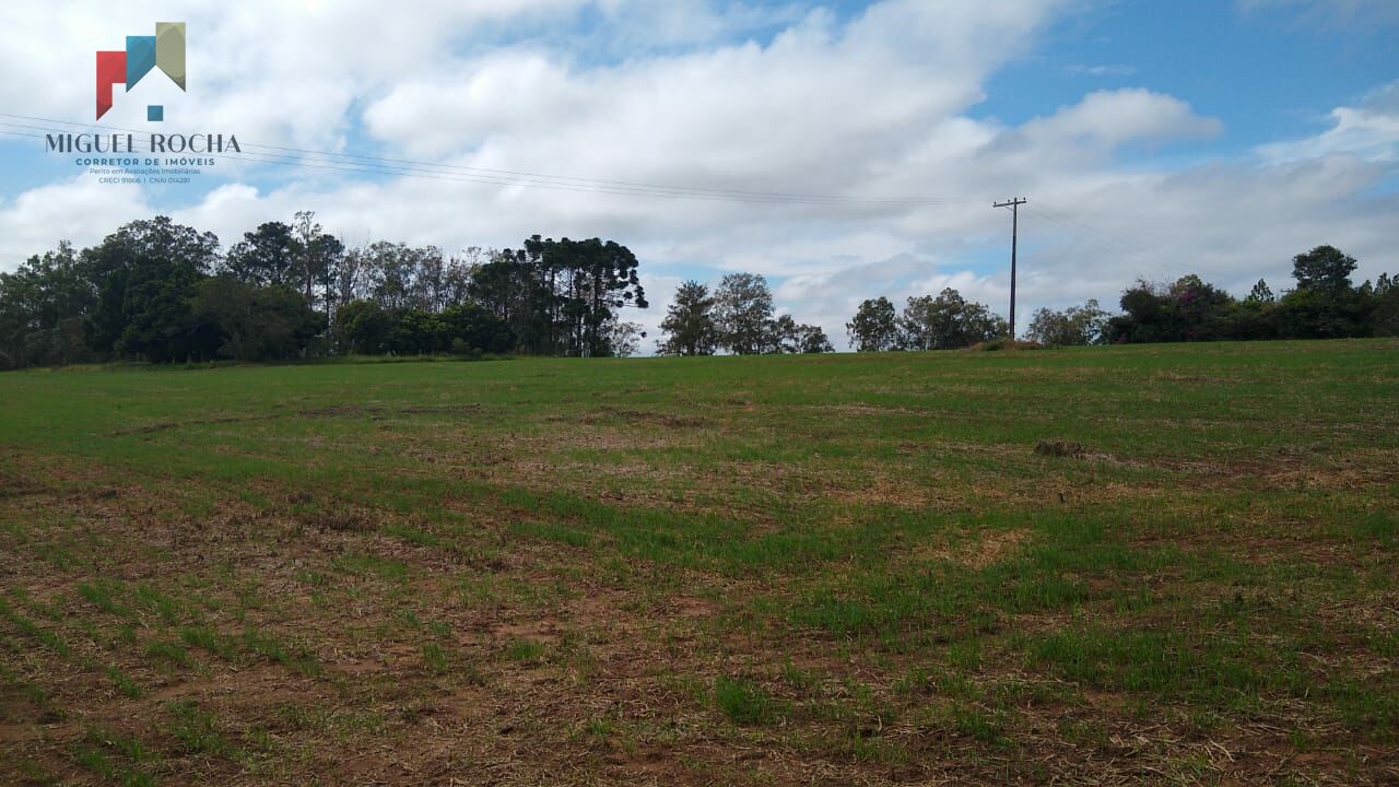 Fazenda à venda com 2 quartos, 1113200m² - Foto 3