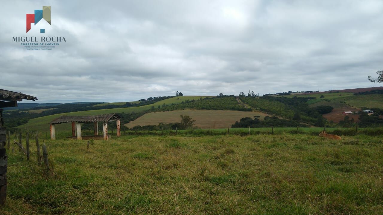 Fazenda à venda com 2 quartos, 1113200m² - Foto 20