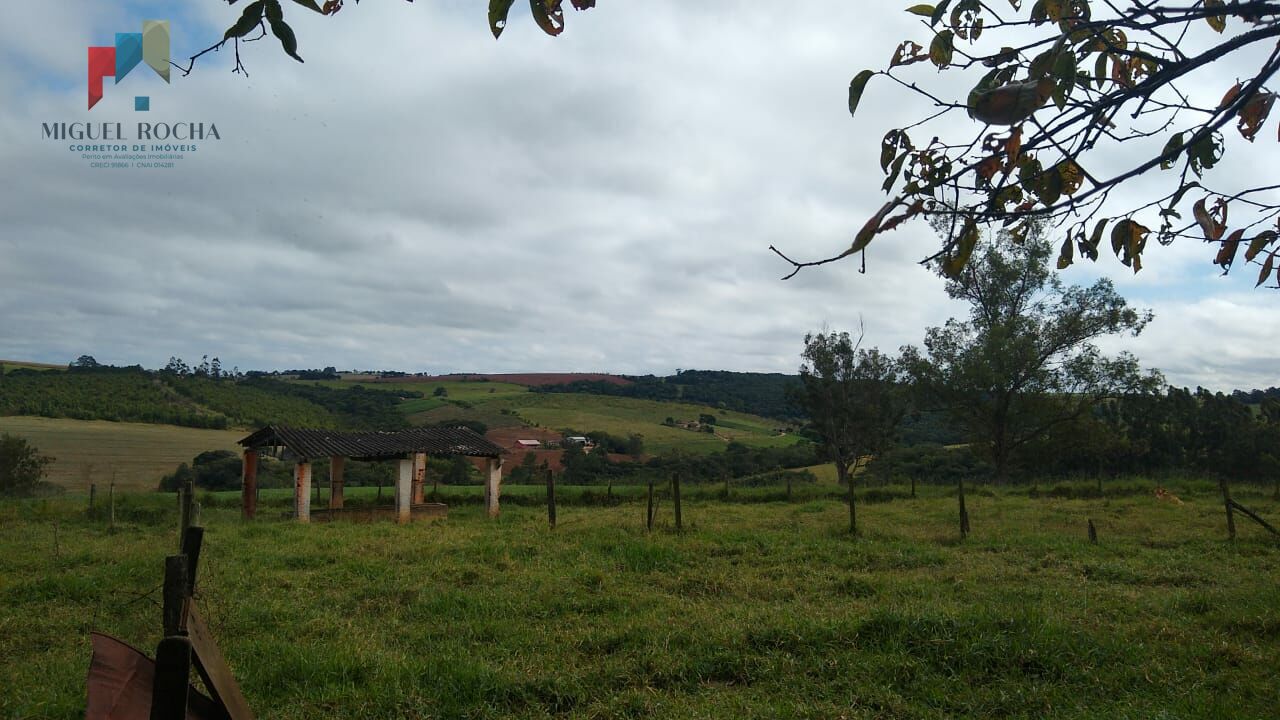 Fazenda à venda com 2 quartos, 1113200m² - Foto 16