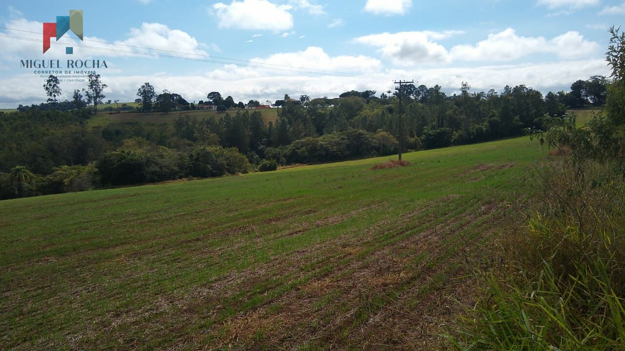 Fazenda à venda com 2 quartos, 1113200m² - Foto 14