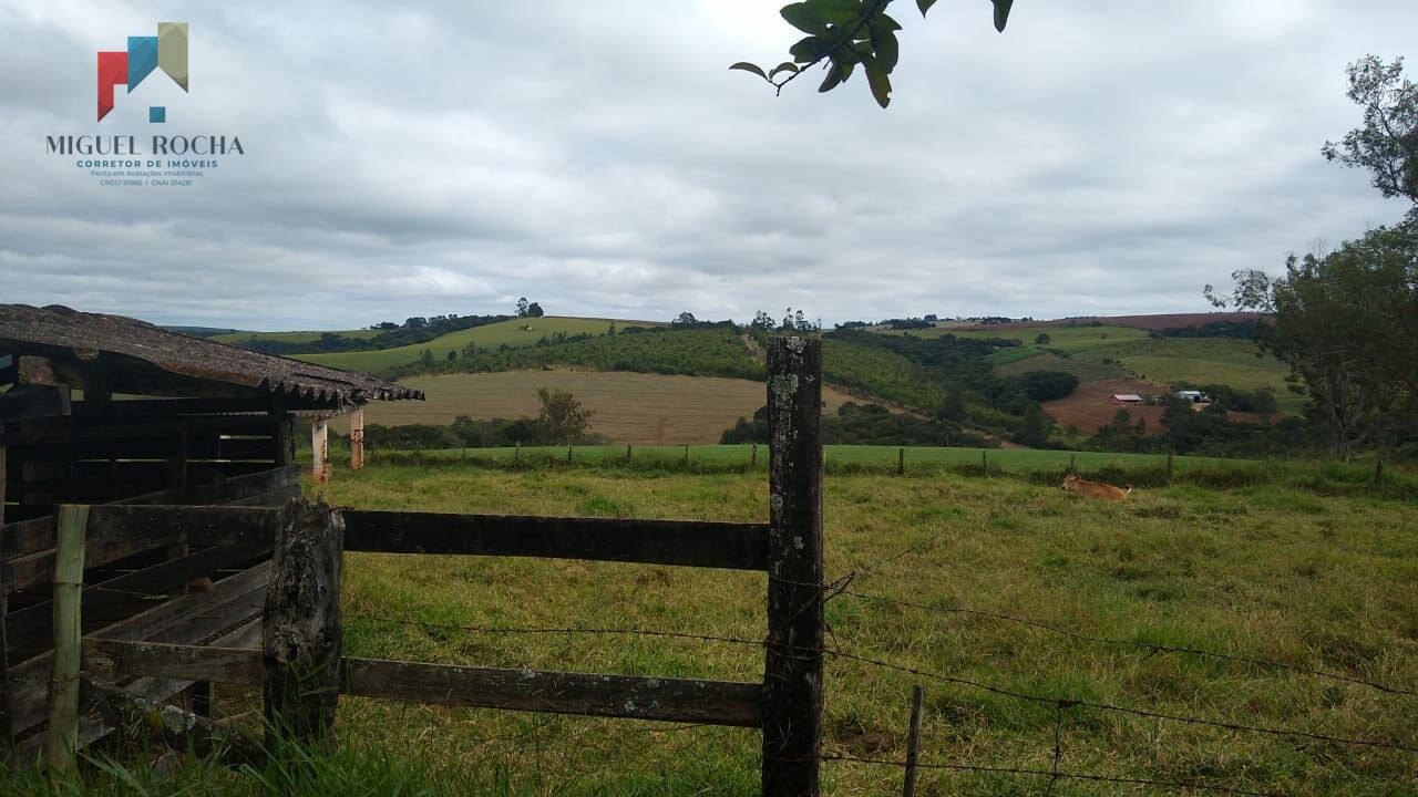 Fazenda à venda com 2 quartos, 1113200m² - Foto 8