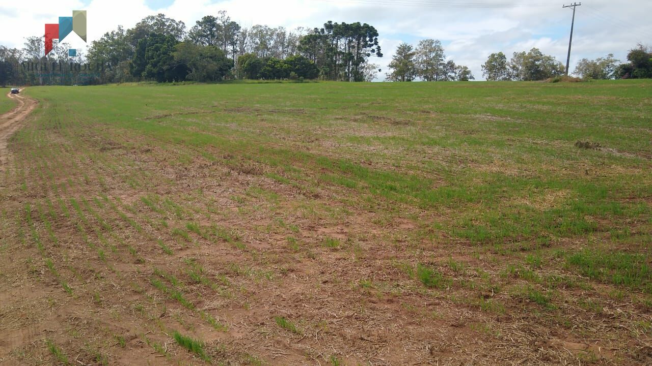 Fazenda à venda com 2 quartos, 1113200m² - Foto 18