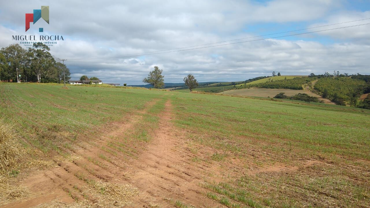 Fazenda à venda com 2 quartos, 1113200m² - Foto 1