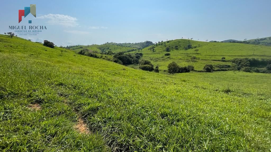 Fazenda região de Itapira SP