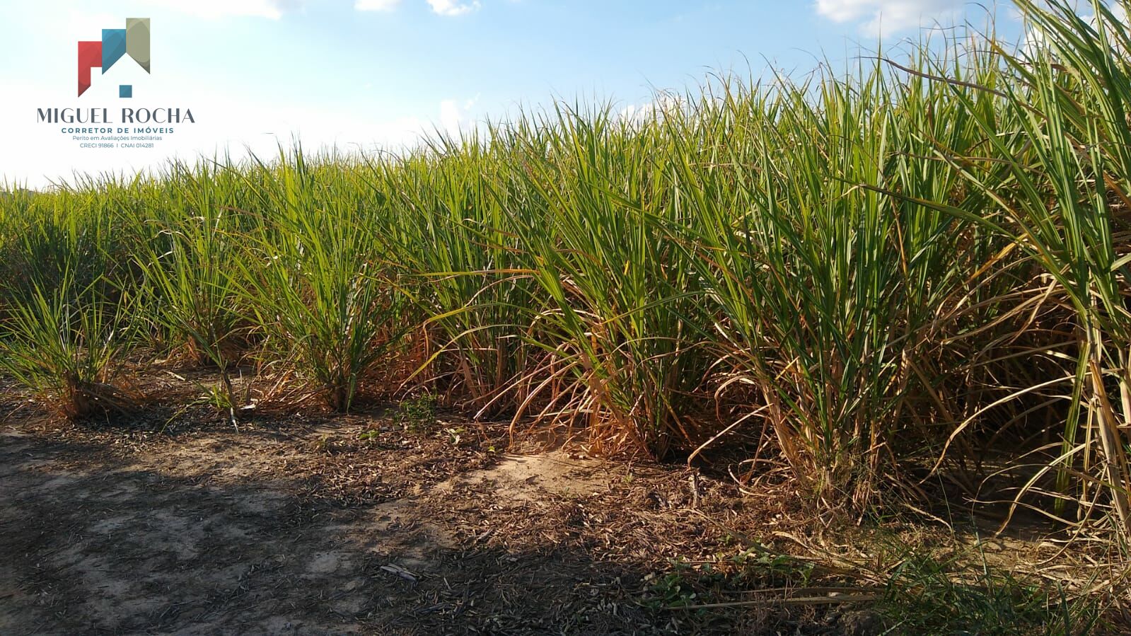 Fazenda à venda com 2 quartos, 435600m² - Foto 1