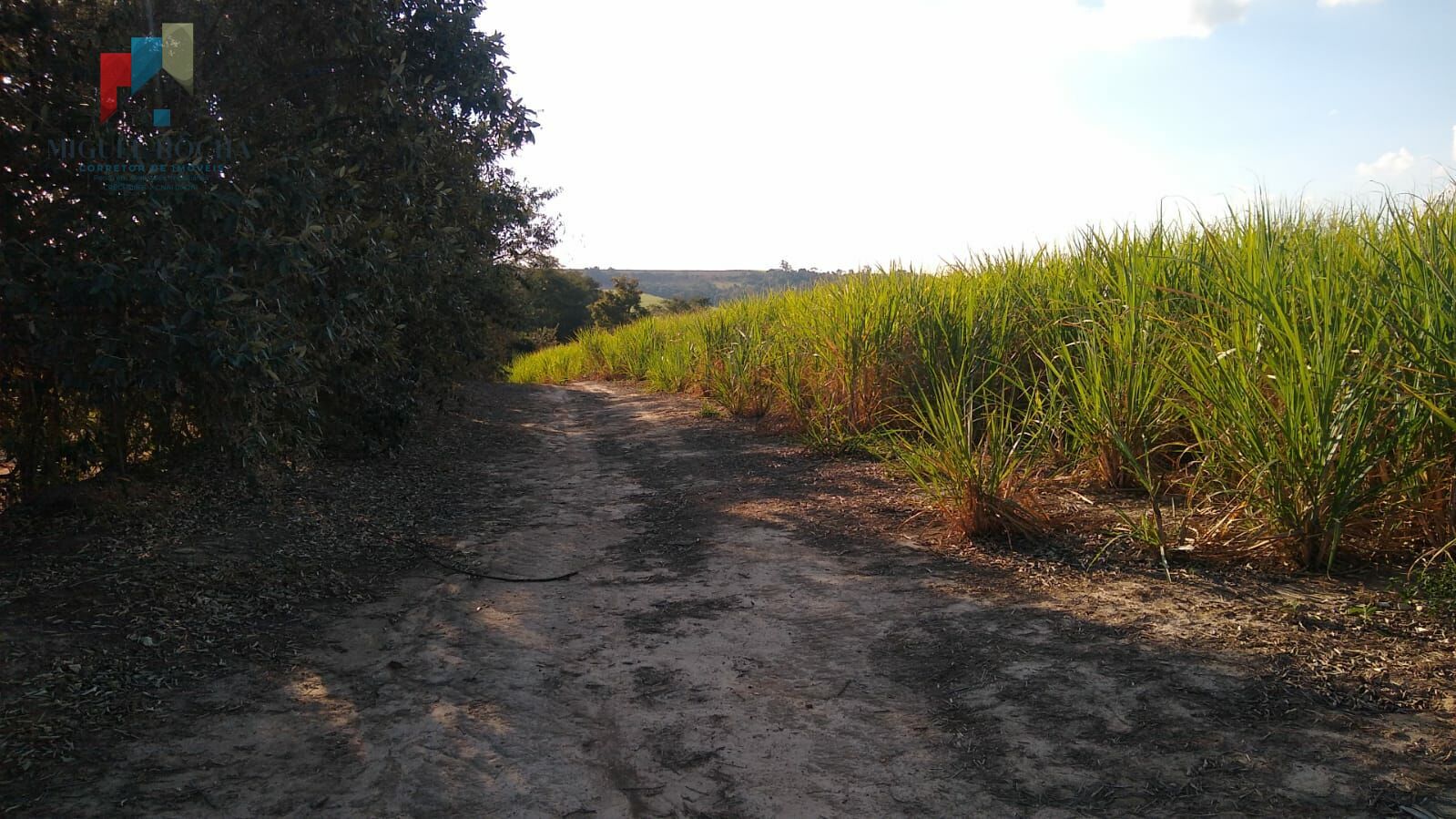 Fazenda à venda com 2 quartos, 435600m² - Foto 2