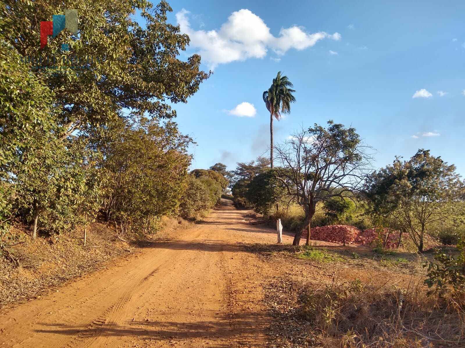 Fazenda à venda com 2 quartos, 435600m² - Foto 4