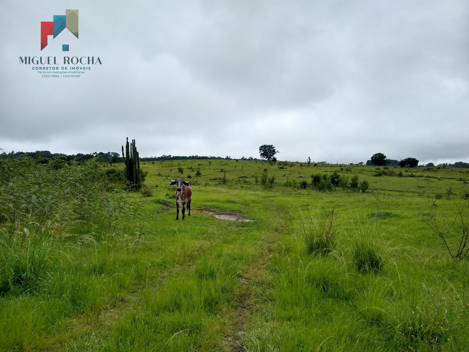 Fazenda à venda, 205700m² - Foto 12