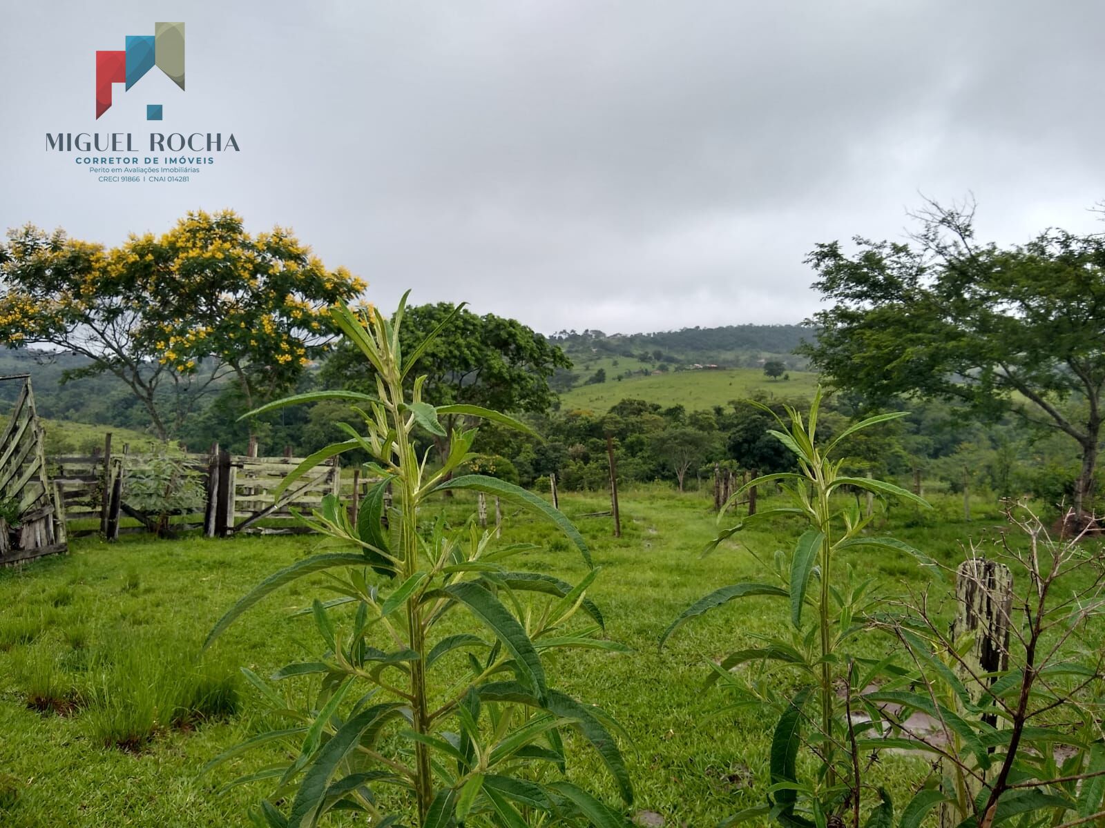 Fazenda à venda, 205700m² - Foto 13