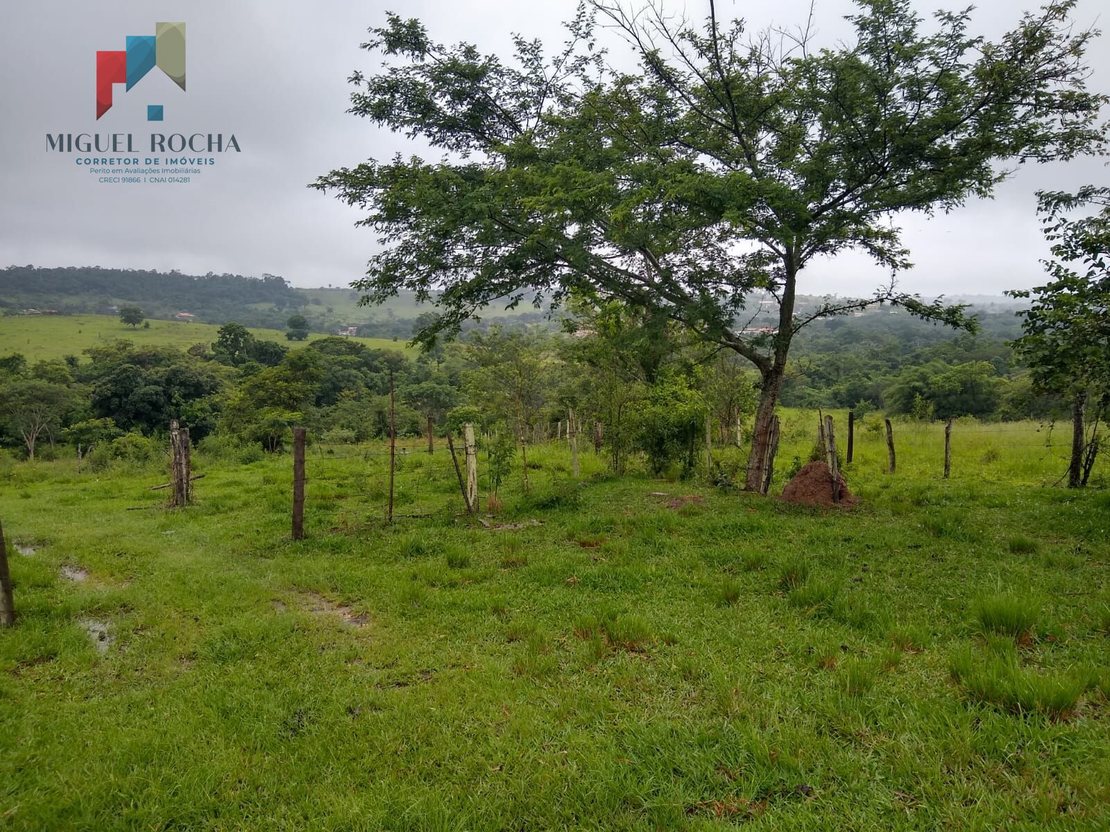 Fazenda à venda, 205700m² - Foto 6