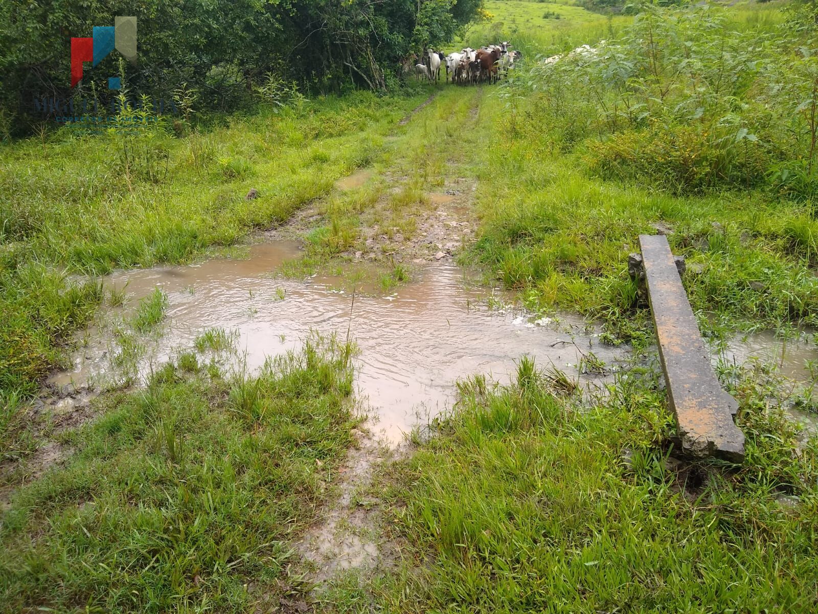 Fazenda à venda, 205700m² - Foto 2