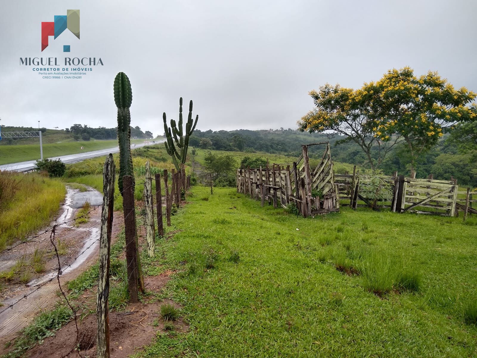 Fazenda à venda, 205700m² - Foto 10