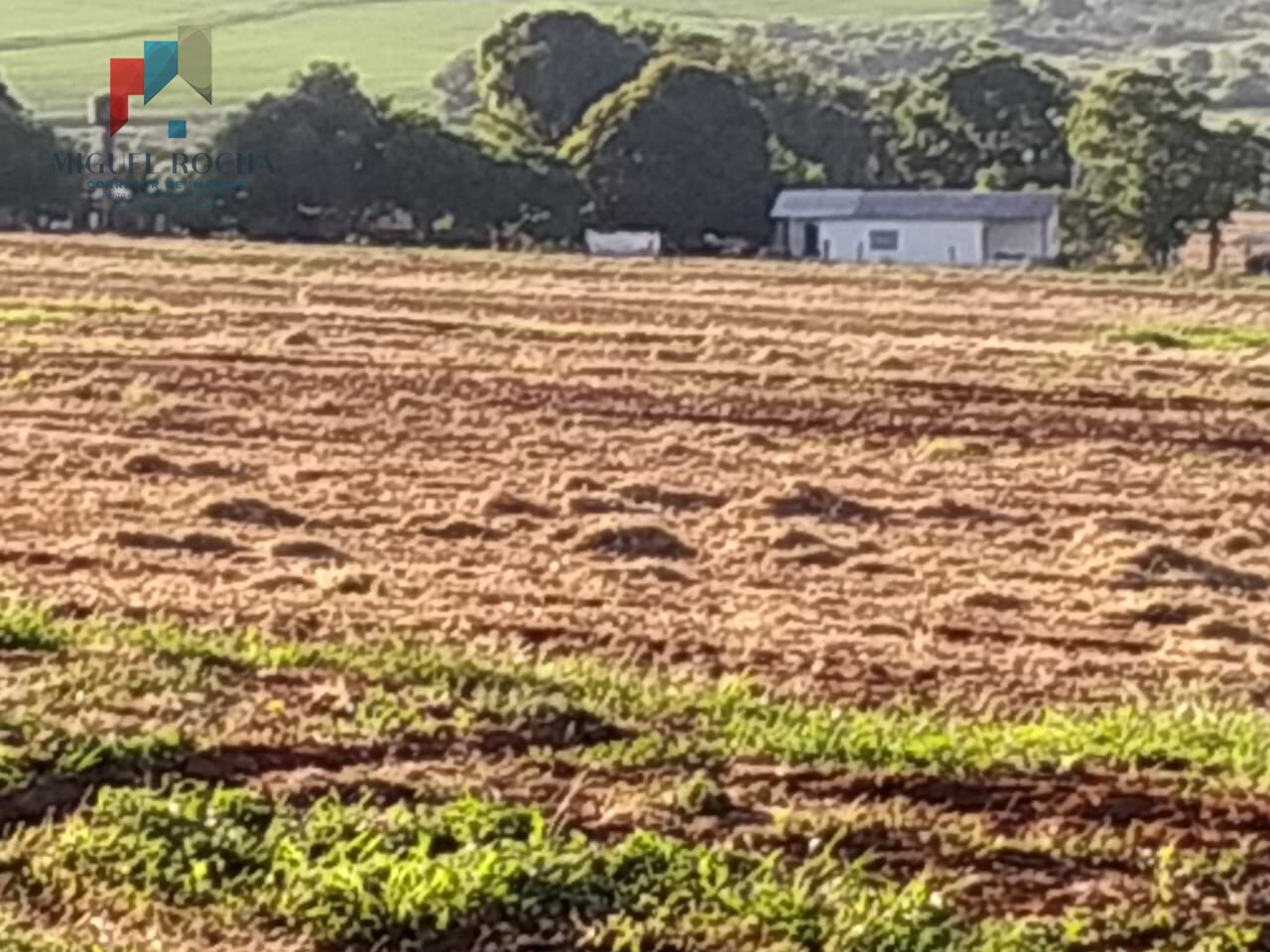 Sítio, 1 quarto, 198 hectares - Foto 11