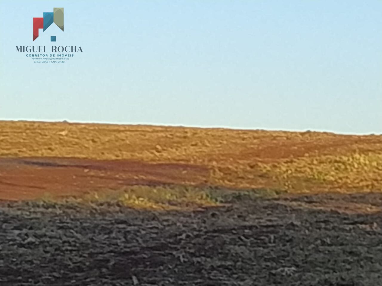 Sítio, 1 quarto, 198 hectares - Foto 5