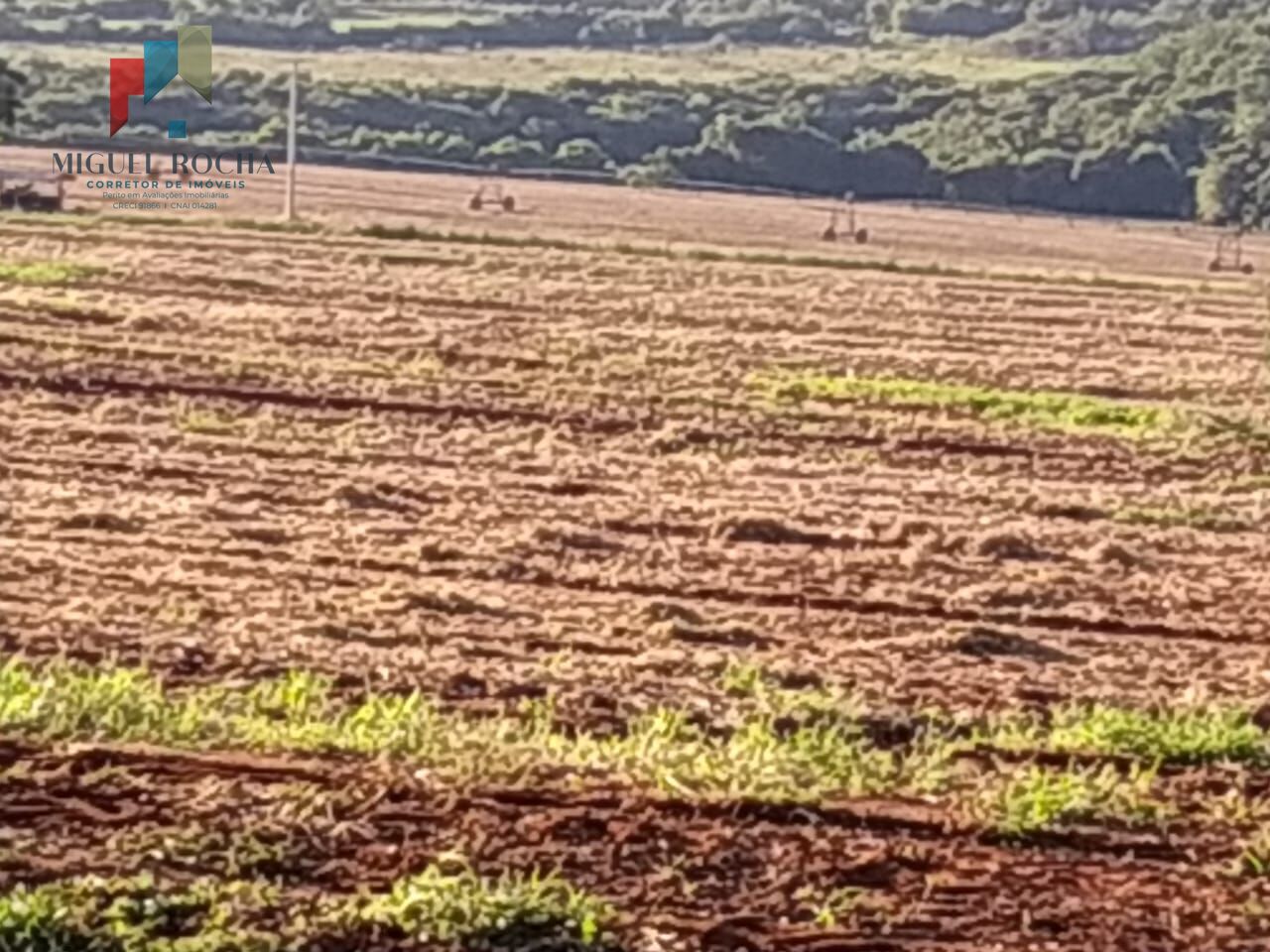 Sítio, 1 quarto, 198 hectares - Foto 12