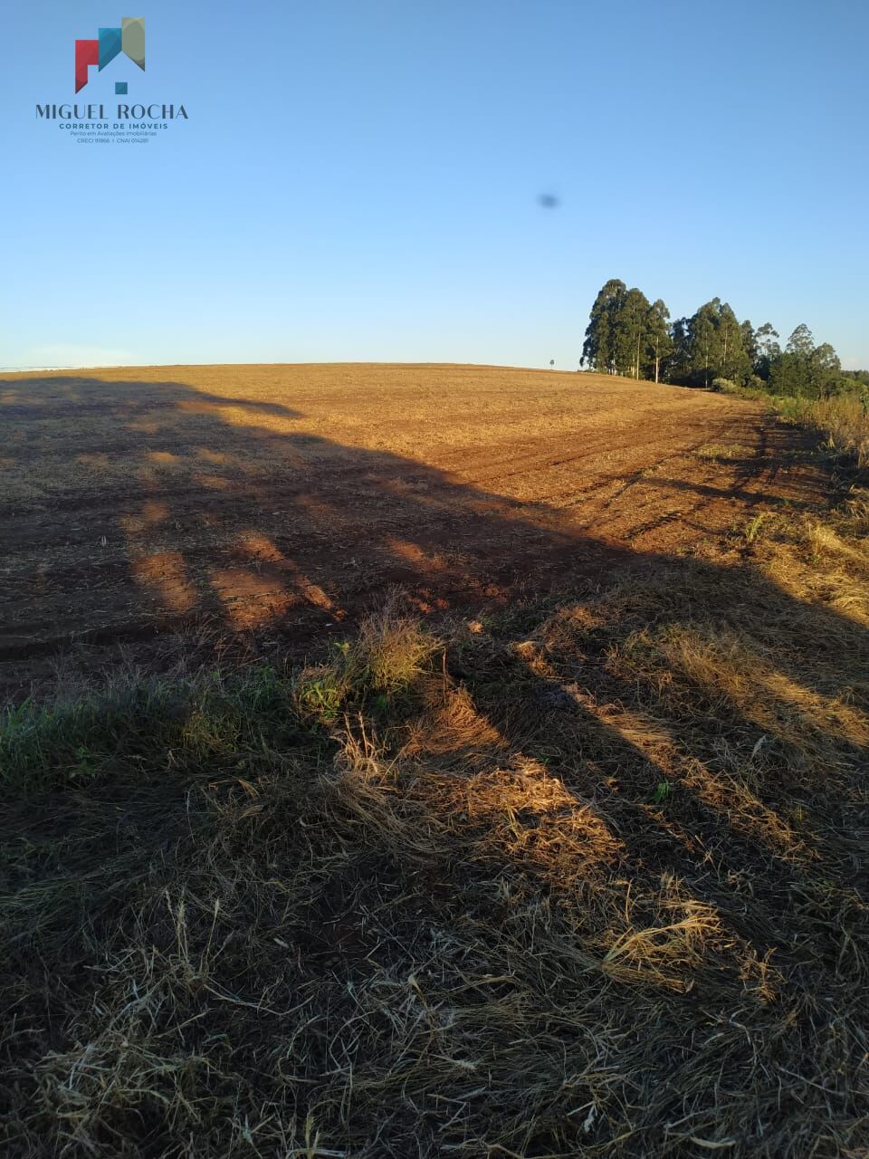 Sítio, 1 quarto, 198 hectares - Foto 7