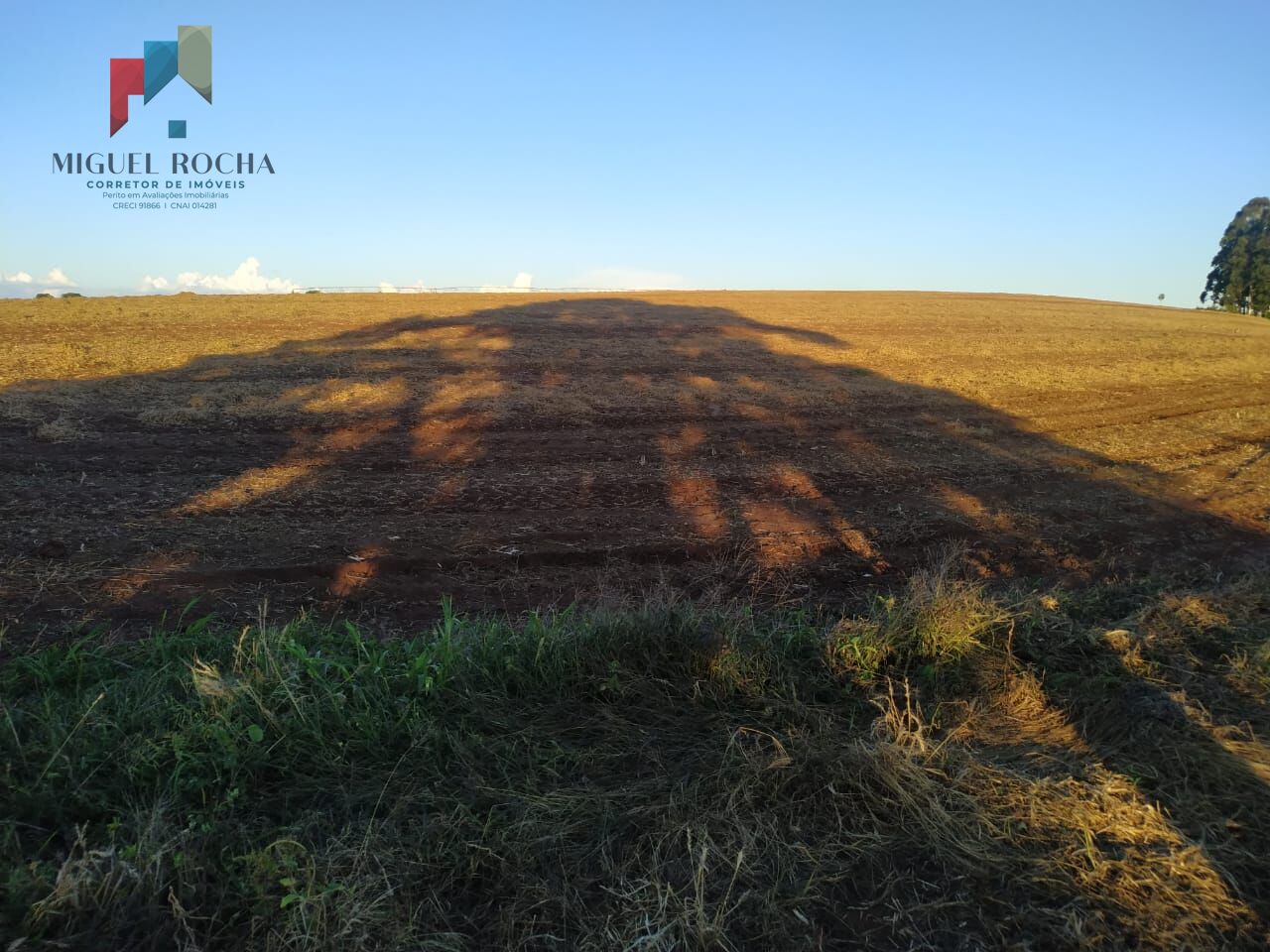 Sítio, 1 quarto, 198 hectares - Foto 6