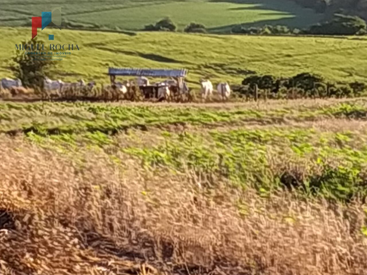 Sítio, 1 quarto, 198 hectares - Foto 13