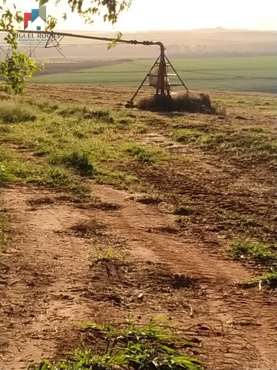 Sítio, 1 quarto, 198 hectares - Foto 9