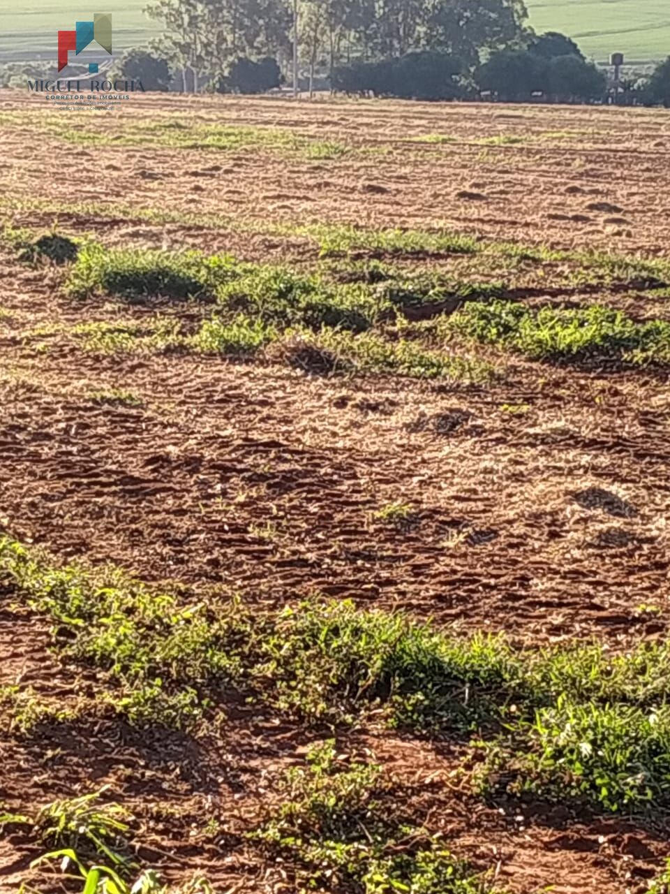 Sítio, 1 quarto, 198 hectares - Foto 10