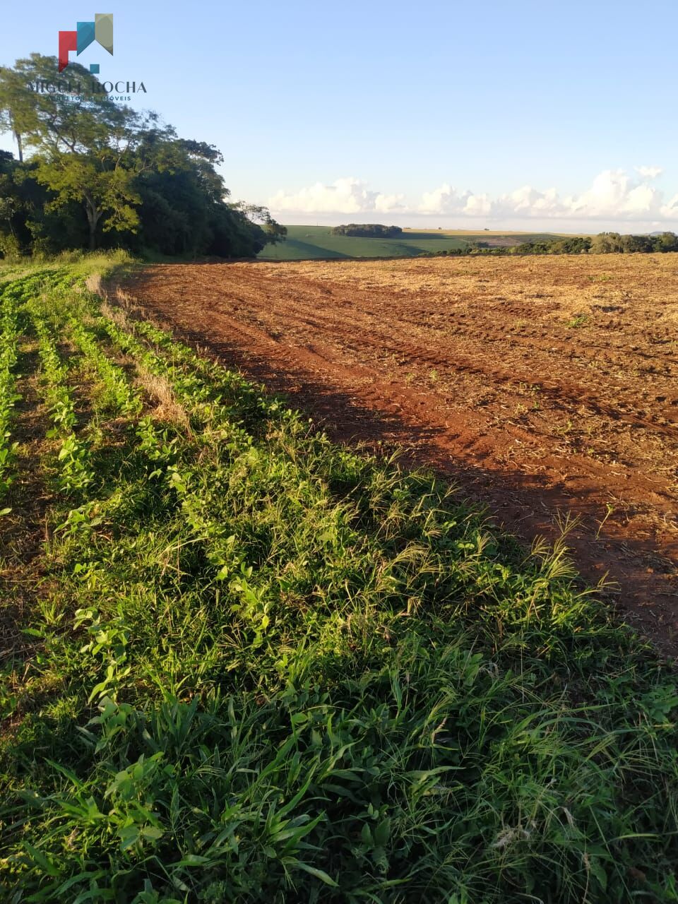 Sítio, 1 quarto, 198 hectares - Foto 1