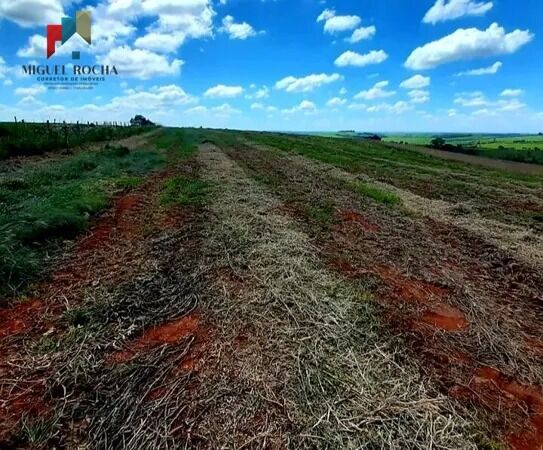 Sítio, 1 quarto, 198 hectares - Foto 14