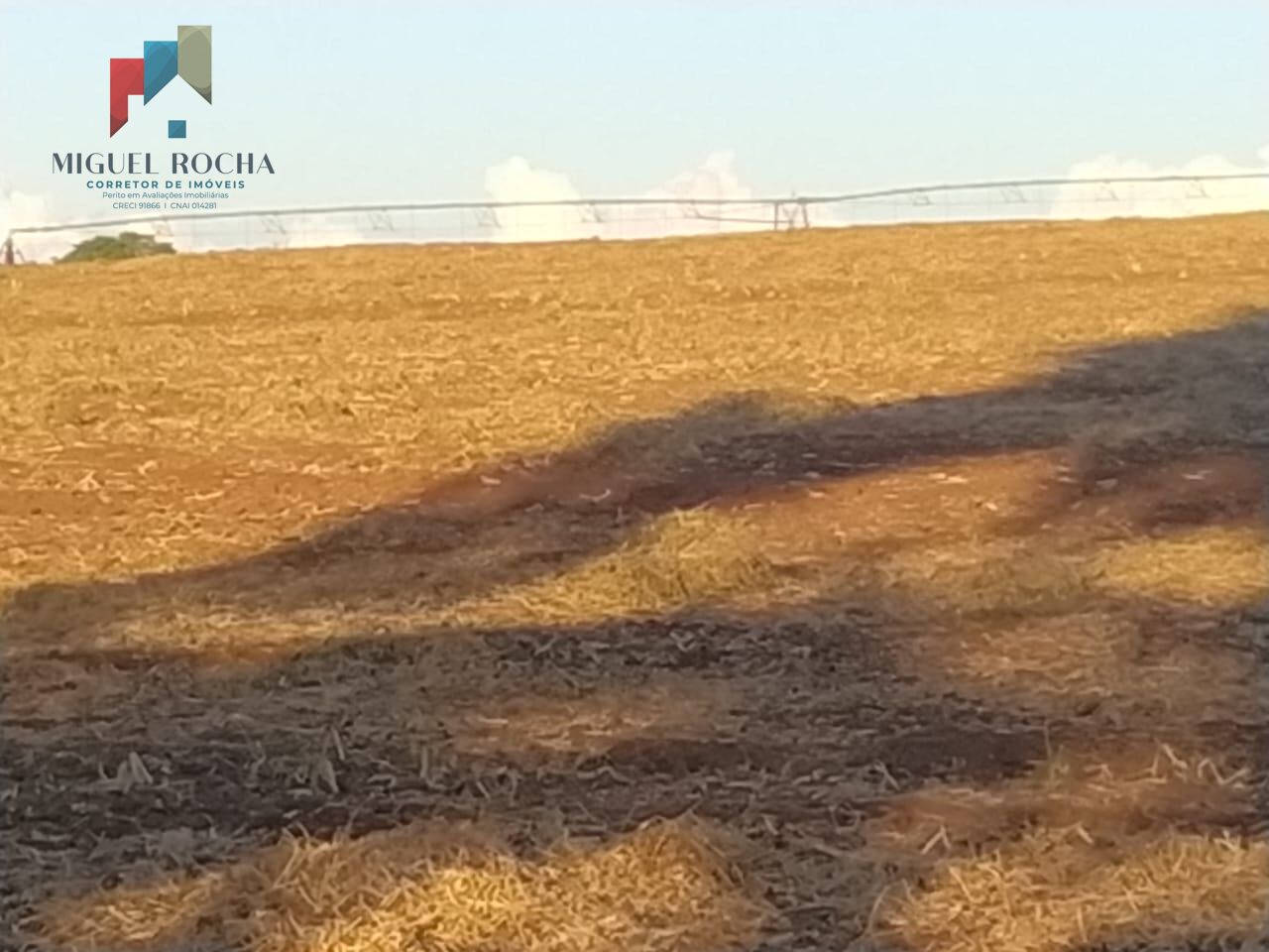 Sítio, 1 quarto, 198 hectares - Foto 4