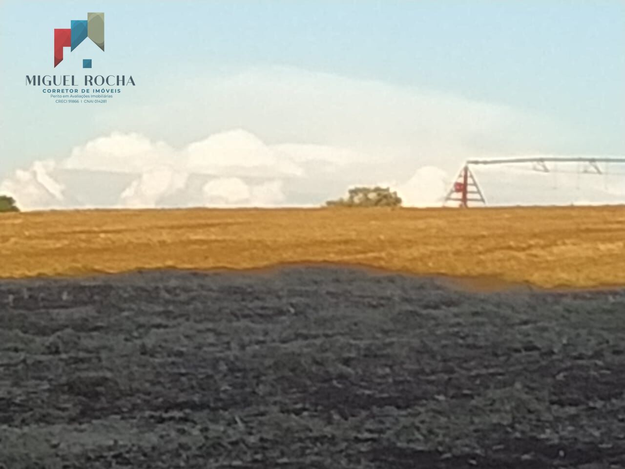 Sítio, 1 quarto, 198 hectares - Foto 15