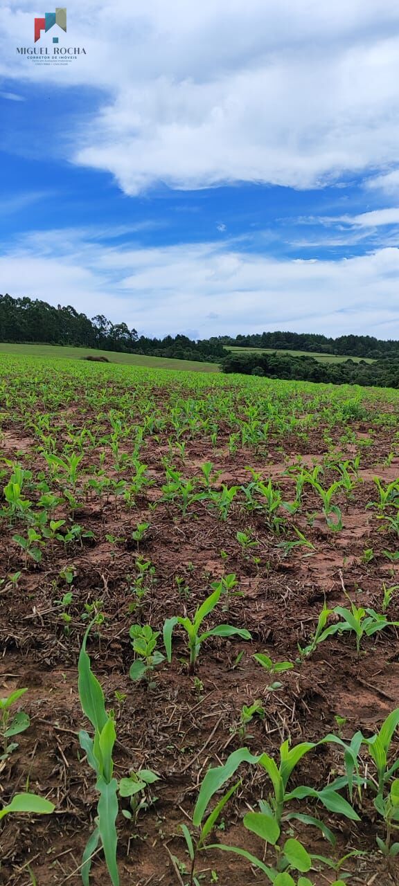 Fazenda à venda com 1 quarto, 1815000m² - Foto 11