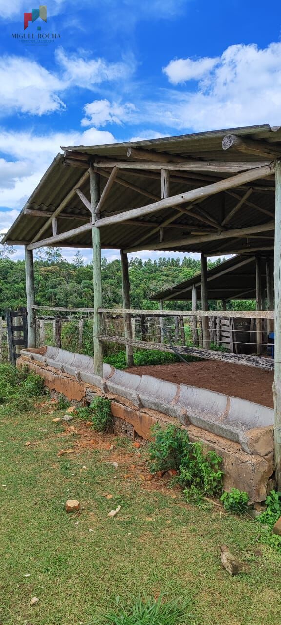 Fazenda à venda com 1 quarto, 1815000m² - Foto 8