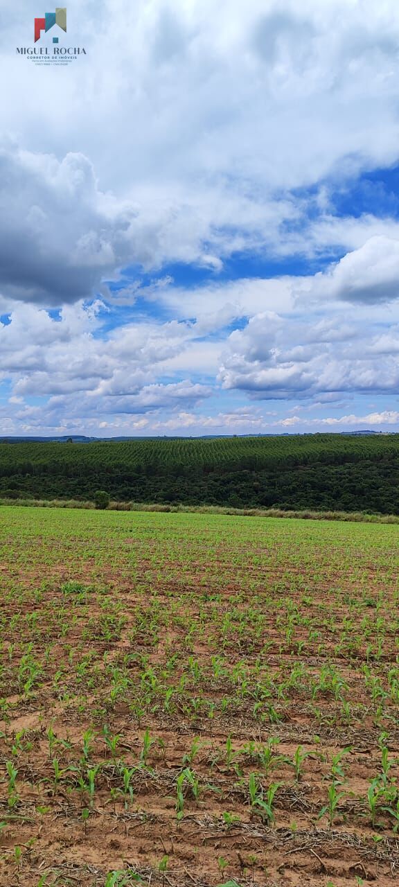 Fazenda à venda com 1 quarto, 1815000m² - Foto 3