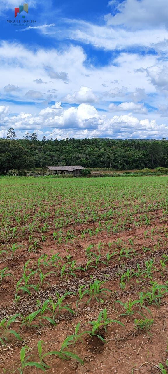 Fazenda à venda com 1 quarto, 1815000m² - Foto 4