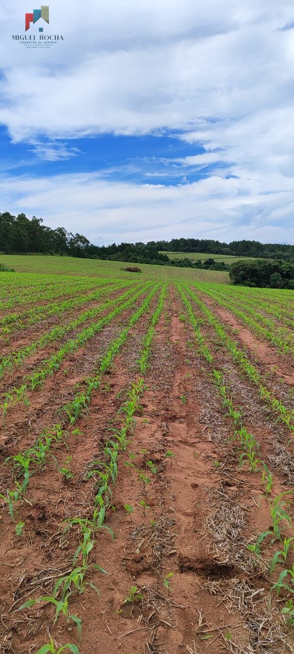 Fazenda à venda com 1 quarto, 1815000m² - Foto 5