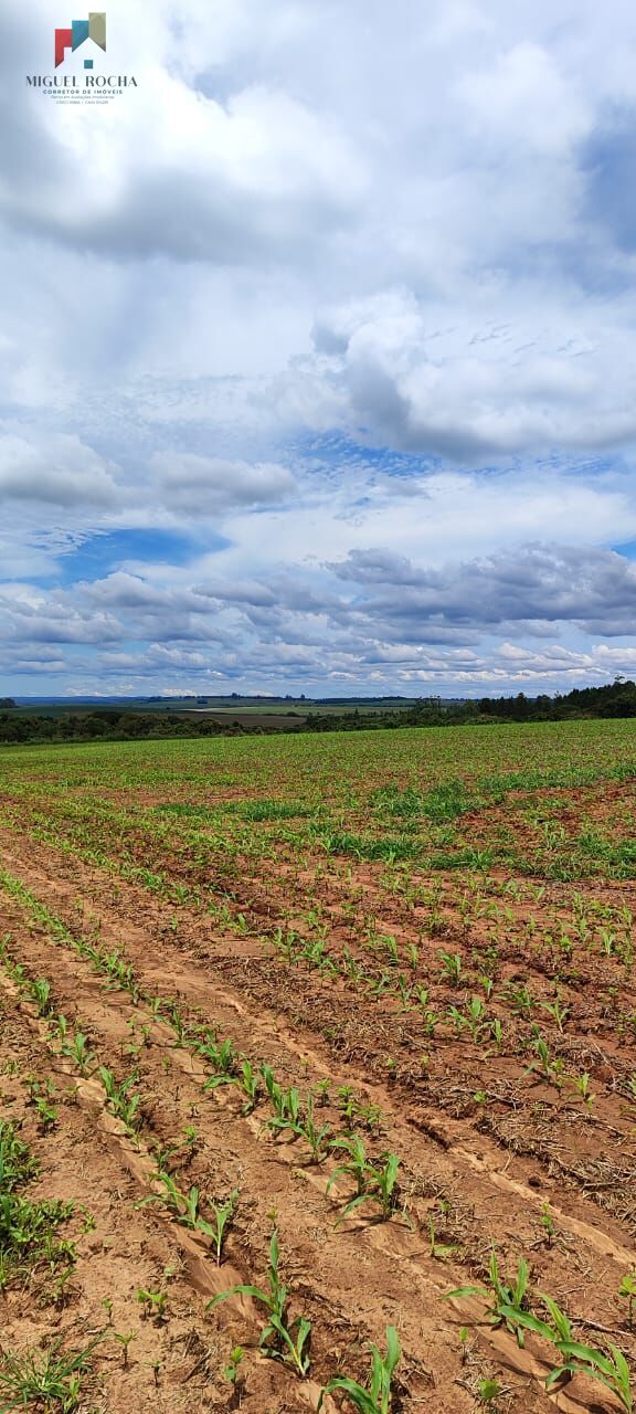 Fazenda à venda com 1 quarto, 1815000m² - Foto 2