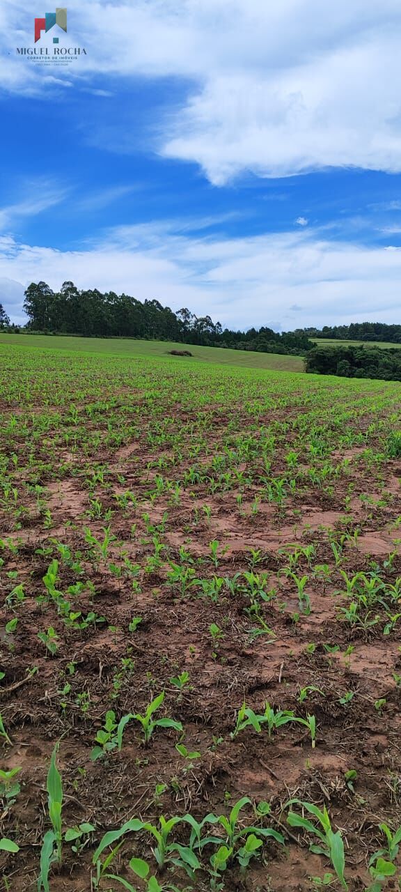 Fazenda à venda com 1 quarto, 1815000m² - Foto 6