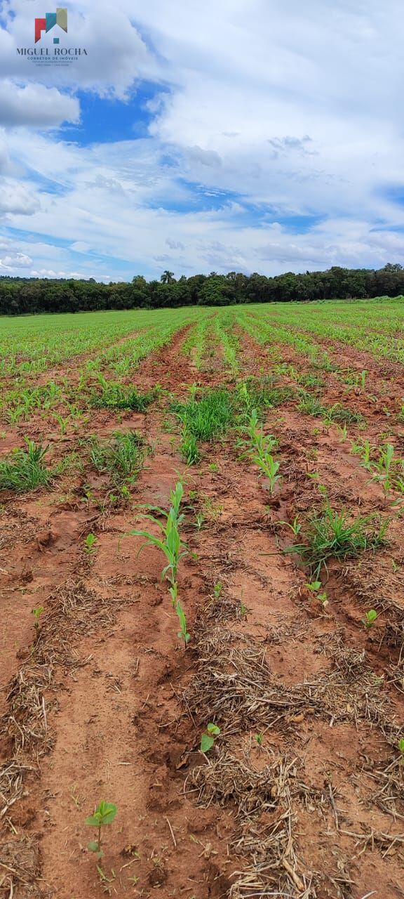 Fazenda à venda com 1 quarto, 1815000m² - Foto 1