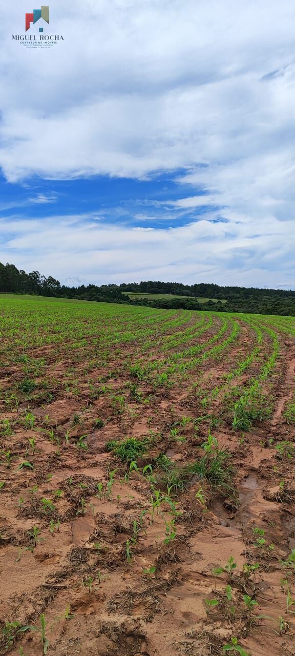 Fazenda à venda com 1 quarto, 1815000m² - Foto 12