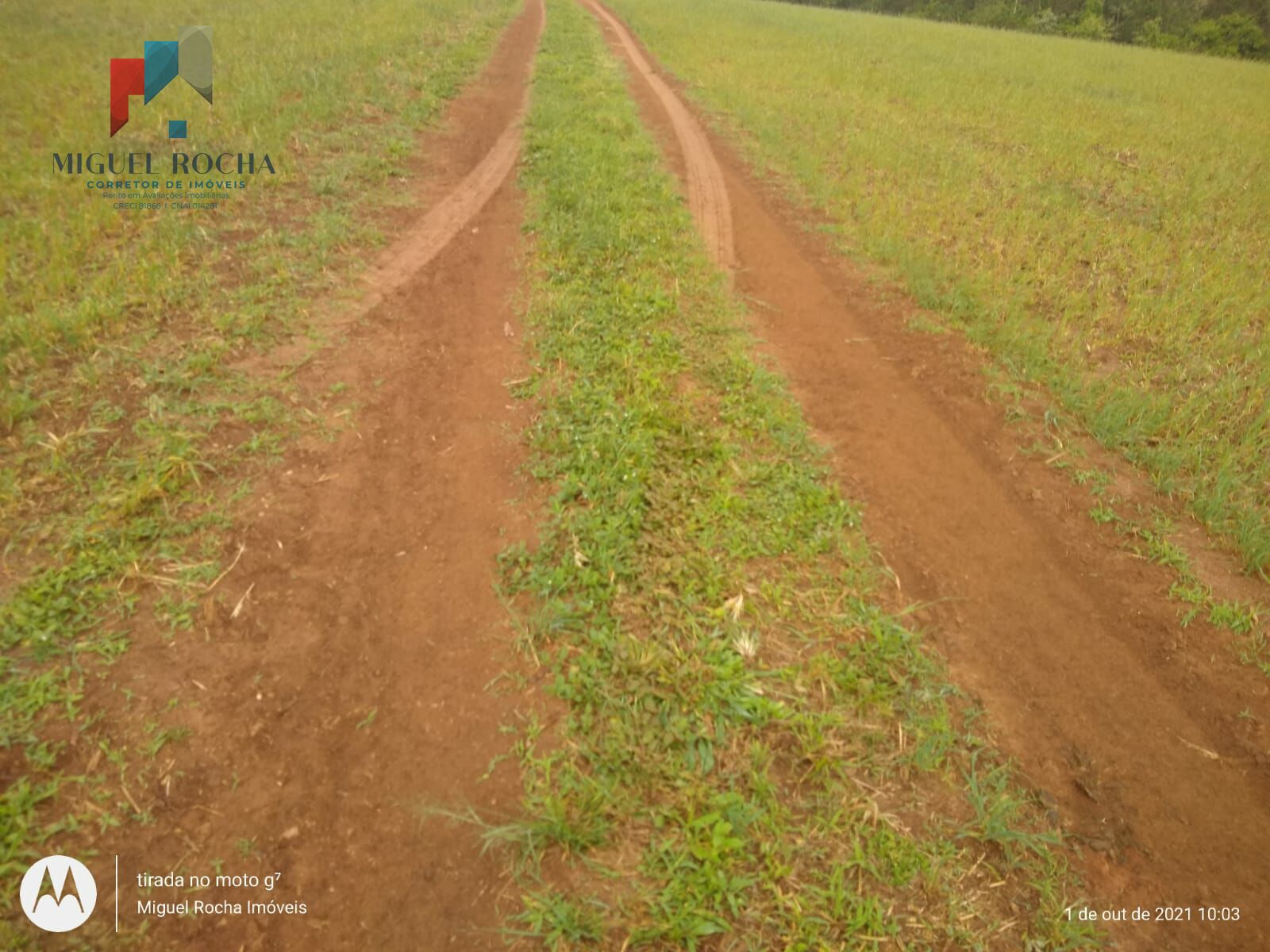 Fazenda à venda com 8 quartos, 3146000m² - Foto 7