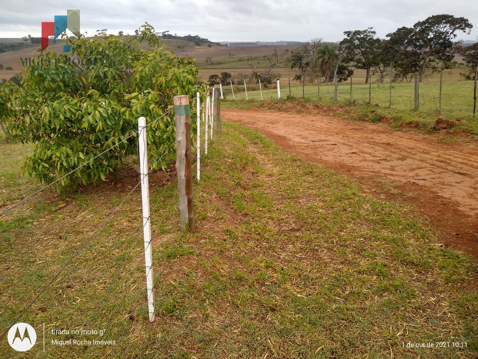 Fazenda à venda com 8 quartos, 3146000m² - Foto 30