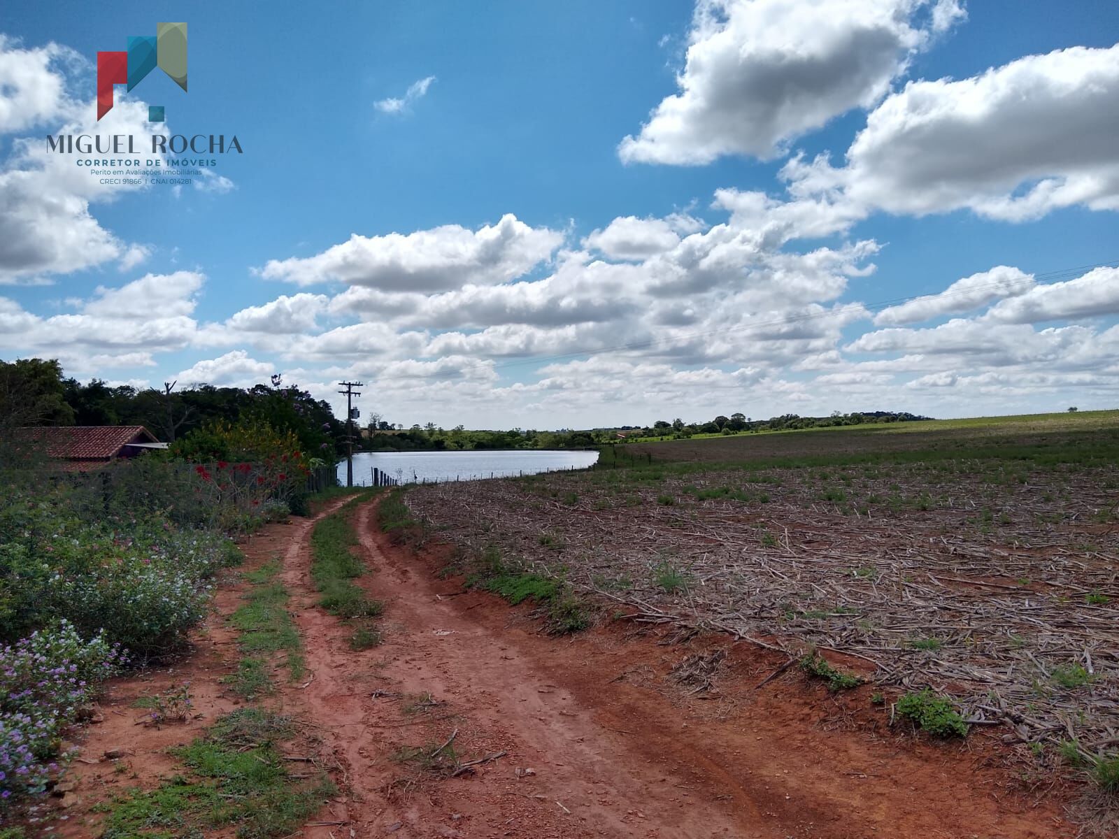 Fazenda à venda com 2 quartos, 895400m² - Foto 3