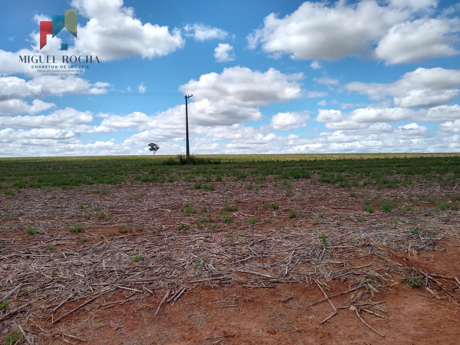 Fazenda à venda com 2 quartos, 895400m² - Foto 1