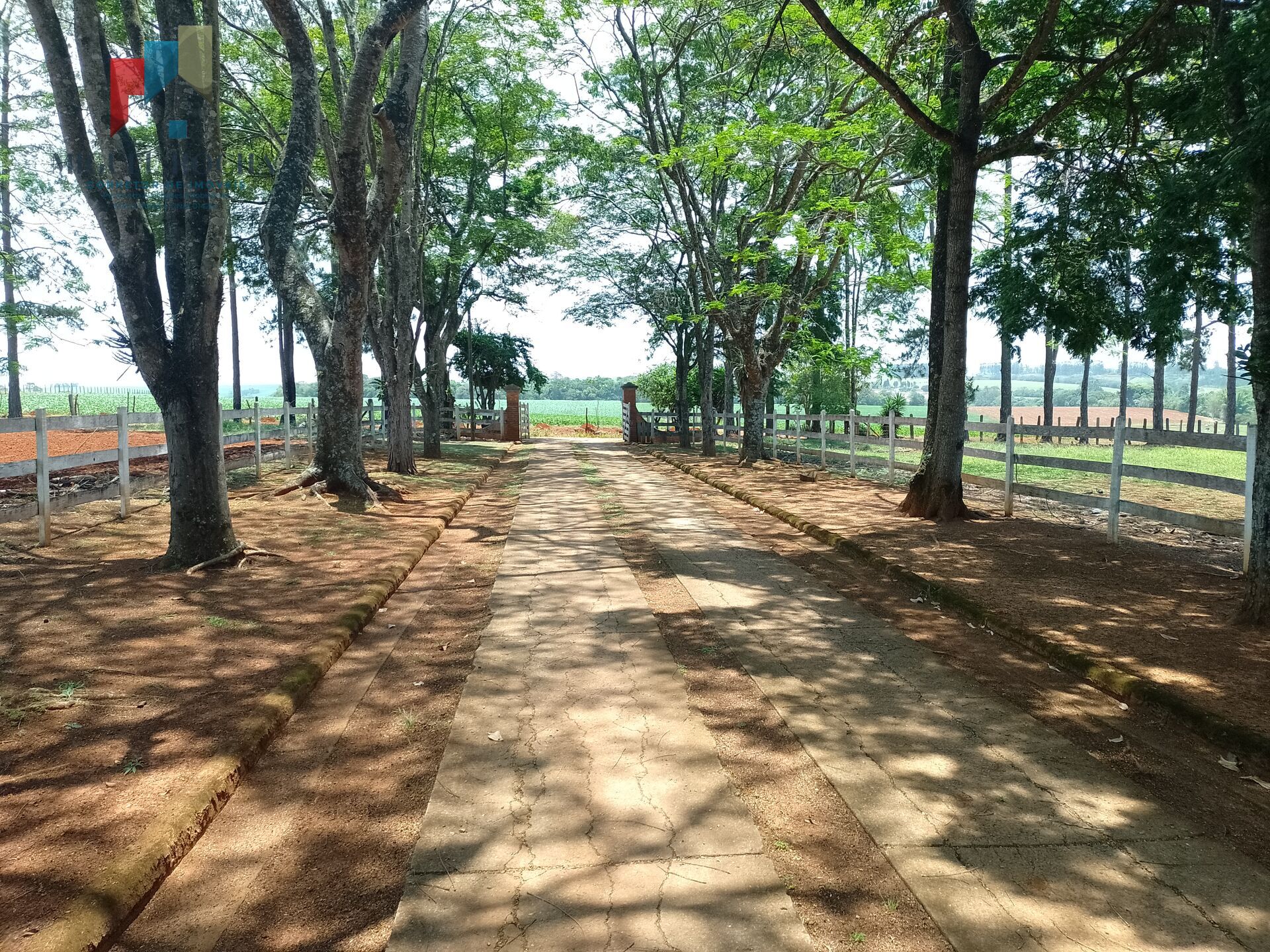 Fazenda à venda com 5 quartos, 170000m² - Foto 5