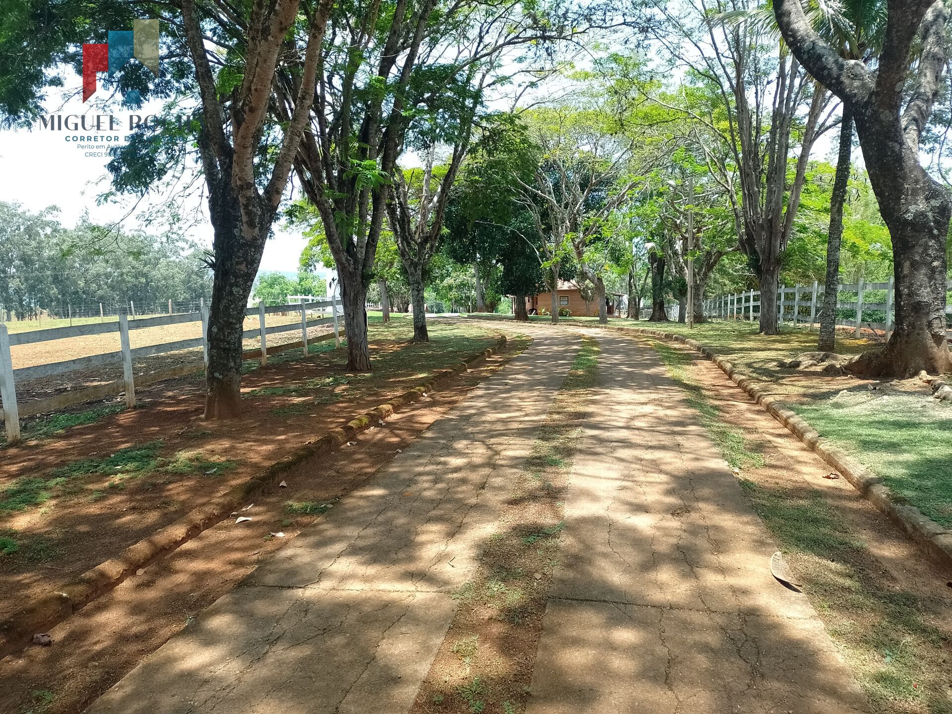 Fazenda à venda com 5 quartos, 170000m² - Foto 6