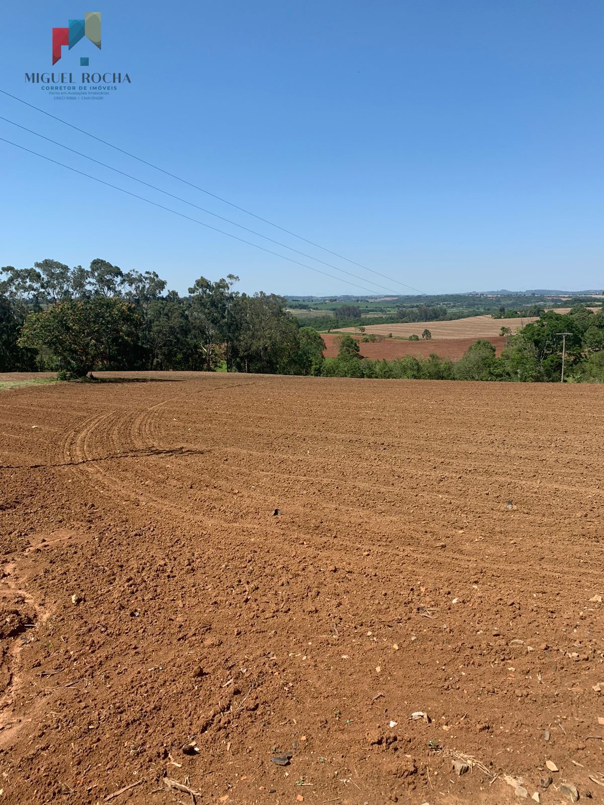 Fazenda à venda com 5 quartos, 170000m² - Foto 25