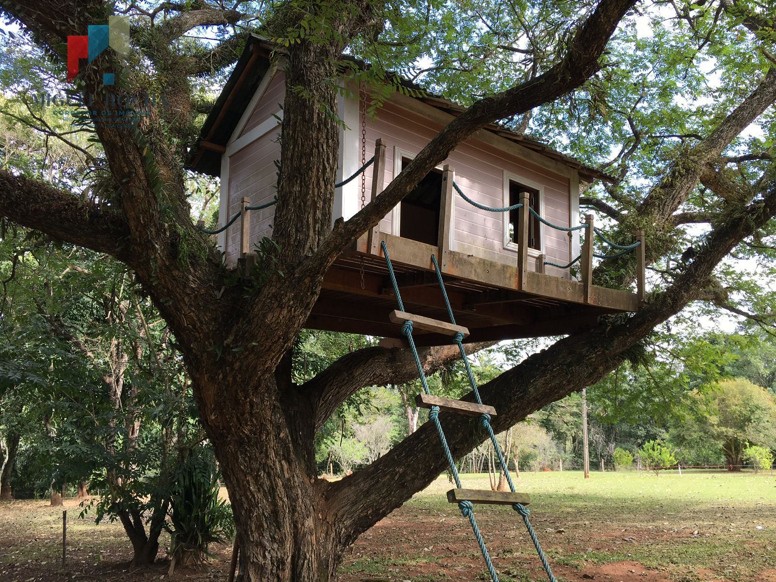 Fazenda à venda com 5 quartos, 170000m² - Foto 38